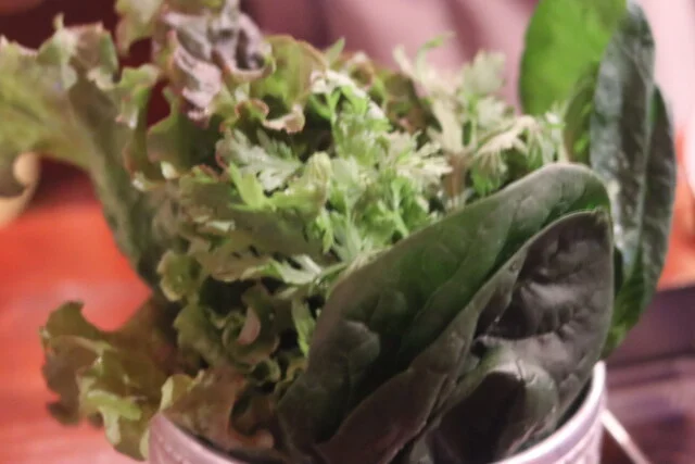 ビビンバ小屋 - 五稜郭（韓国料理）の写真