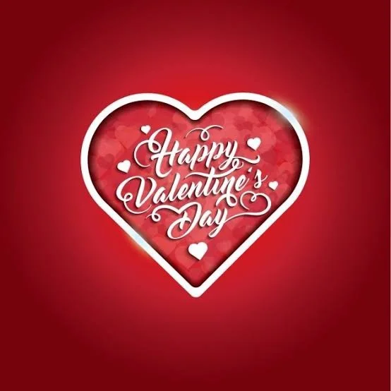 しゃぶしゃぶ酒房美豚（ビトン） - 泉外旭川（しゃぶしゃぶ）の写真