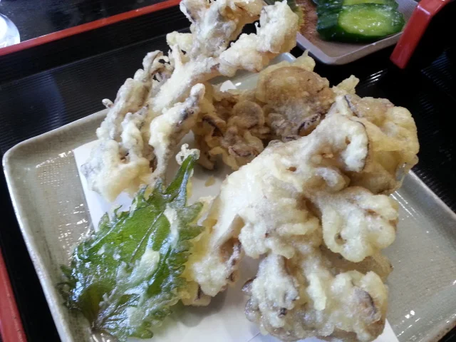 トムトムキキル - 安比高原（麺類）の写真