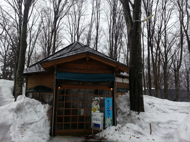 カフェぶなの森Ｆｕｕ（フー） - 仙北市その他（パスタ）の写真