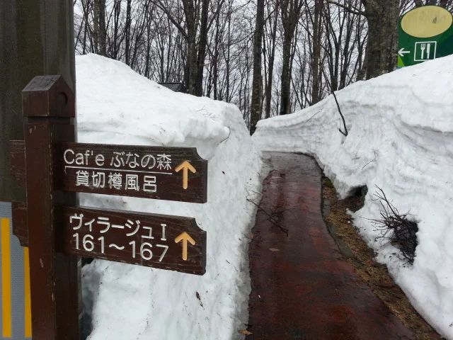 カフェぶなの森Ｆｕｕ（フー） - 仙北市その他（パスタ）の写真