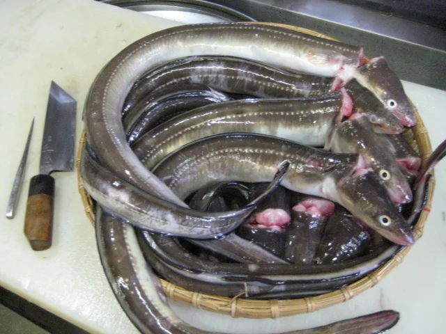 海老徳 - 山ノ目（海鮮）の写真