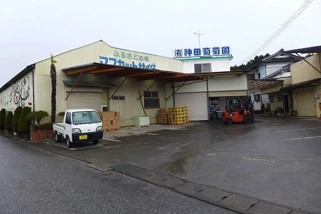 神田葡萄園 - 脇ノ沢（その他）の写真