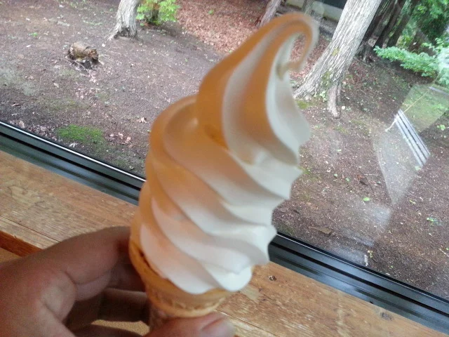 ゆこたんの森 - 雫石町その他（ホテル）の写真