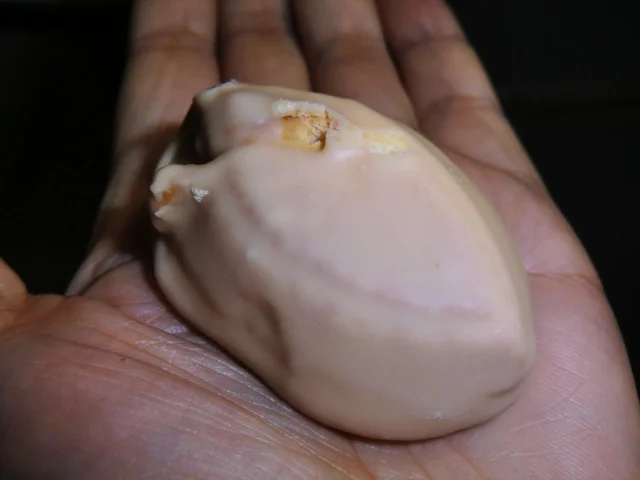 洋菓子モンド - 釜石（ケーキ）の写真