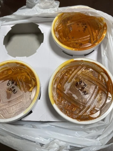 ダルバール - 能代（インド料理）の写真