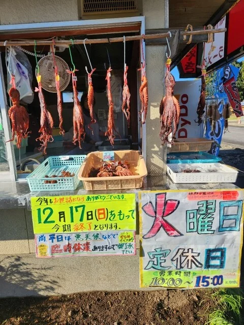 磯舟焼いか - 岩館（日本料理）の写真