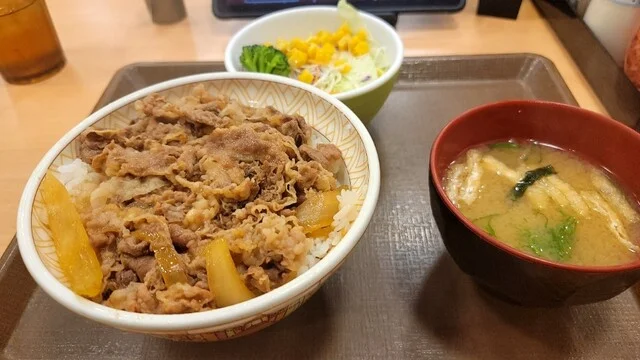 すき家 秋田東店 - 秋田（牛丼）の写真