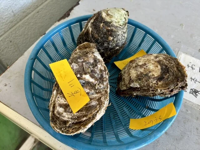 はまなす物産センター（【旧店名】金浦物産センター） - 金浦（その他）の写真