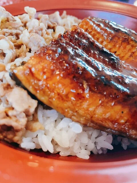 すき家 113号角田店 - 角田（牛丼）の写真