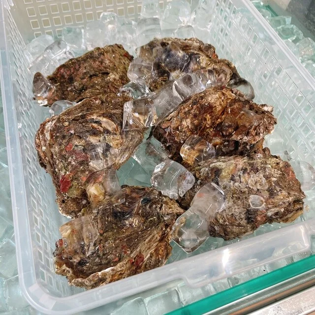 おさかな処 どうらく - 象潟（海鮮）の写真