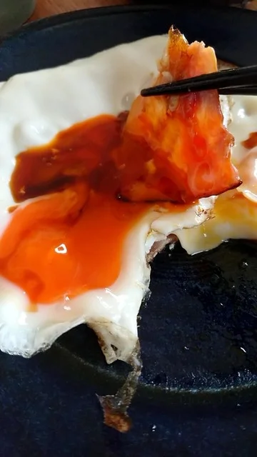 白鳥ファーム - 東白石（その他）の写真