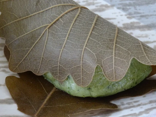 相月堂（そうげつどう） - 相馬（和菓子）の写真