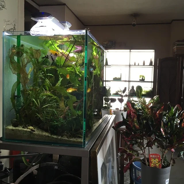 バー タブラ（bar tabula） - 一ノ関（バー）の写真