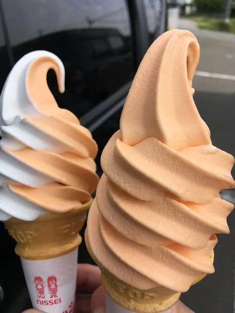 ドラゴンフレッシュセンター - 能代市その他（その他）の写真