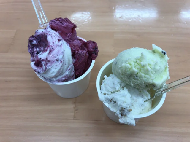 遠野酪農舎 夢産直かみごう店 - 平倉（ジェラート・アイスクリーム）の写真