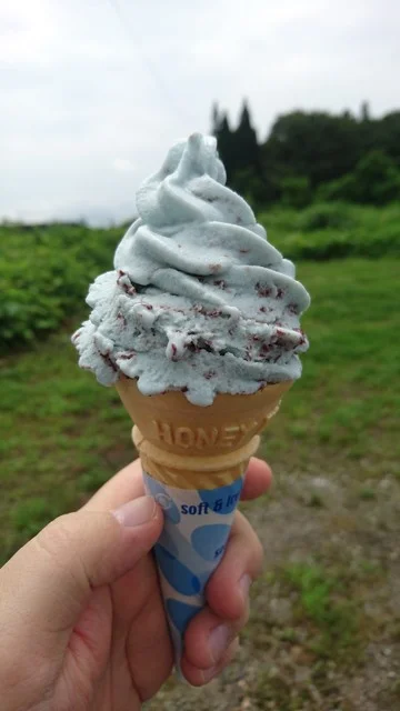 胆沢まるごと案内所 - 水沢（その他）の写真