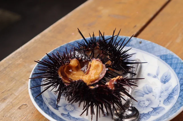 小袖海女センター - 久慈（海鮮）の写真