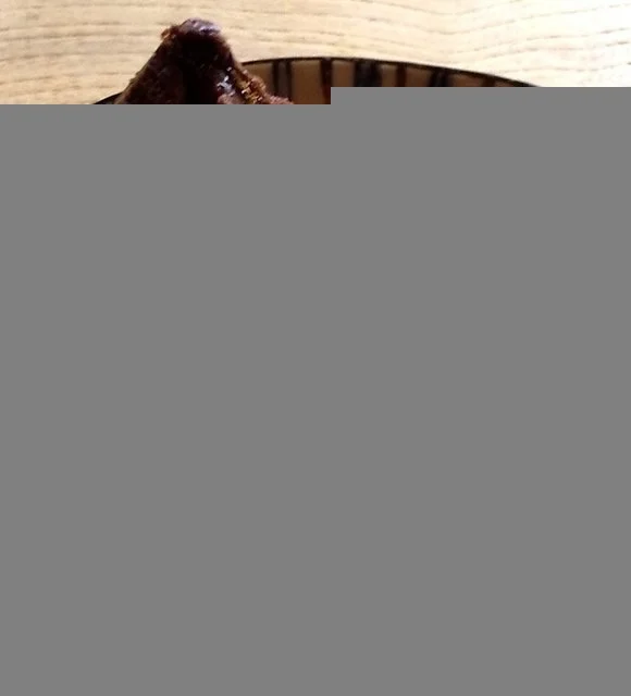 つるのIORIカフェ（ツルノイオリカフェ） - 早戸（カフェ）の写真