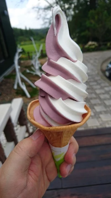 ぶどうの樹 - 紫波中央（麺類）の写真