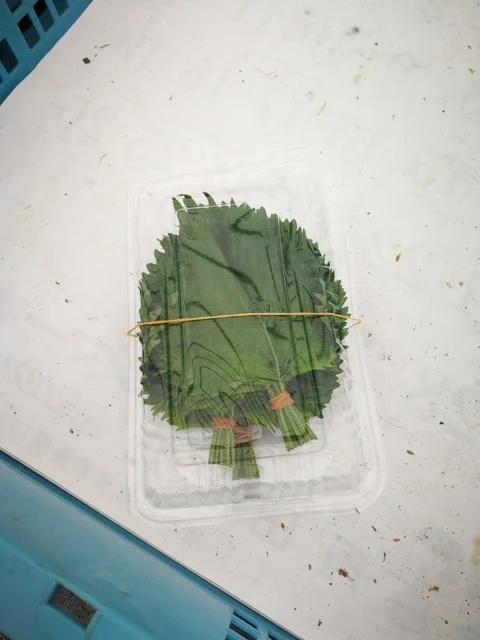 田んぼアート ふれあい直売所 - 角田（その他）の写真