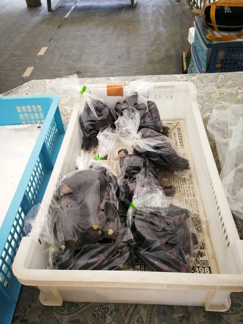 田んぼアート ふれあい直売所 - 角田（その他）の写真