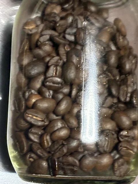 ジジコーヒー（JIJI COFFEE） - 向能代（カフェ）の写真