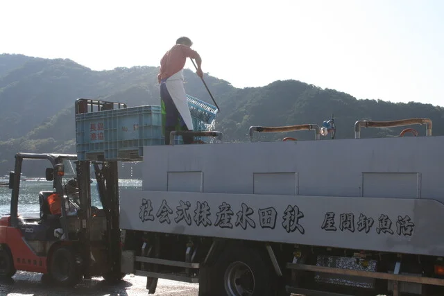 秋田港 - 秋田（寿司）の写真