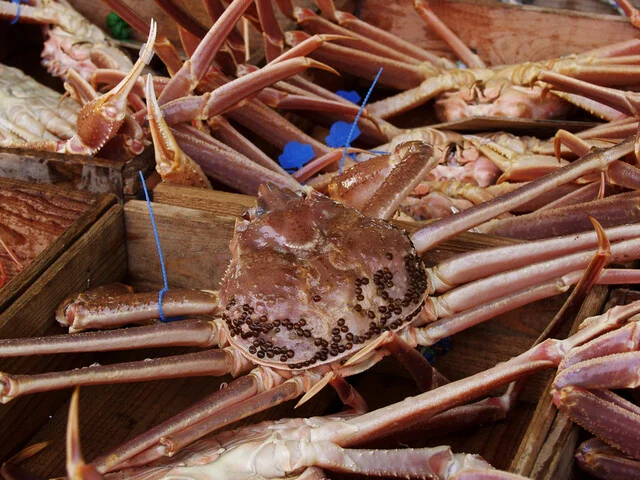 秋田港 - 秋田（寿司）の写真