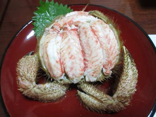 ・・・ - 象潟（居酒屋）の写真