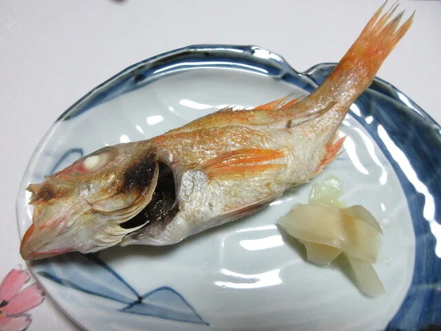 ・・・ - 象潟（居酒屋）の写真