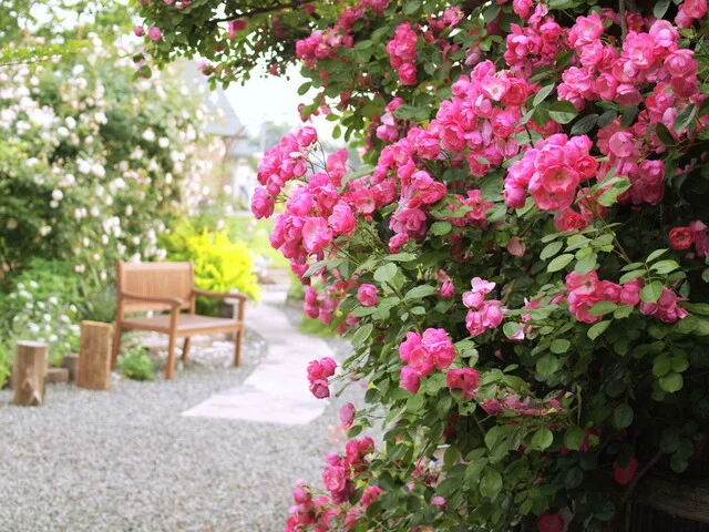 ガーデンカフェ&デリカ キモト（kimoto） - 羽後太田（惣菜・デリ）の写真