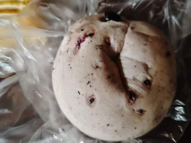 メルシィ（bakery & sweets MERCI） - 三種町その他（パン）の写真