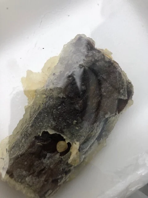 肉のさとう - 大曲（惣菜・デリ）の写真