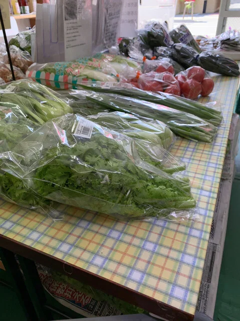 よこて旬菜市場 - 秋田（郷土料理）の写真