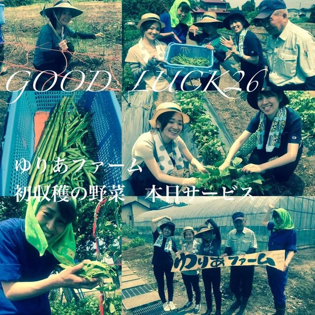 HIGHBALL BAR YAMAGATA1971 - 山形（ダイニングバー）の写真