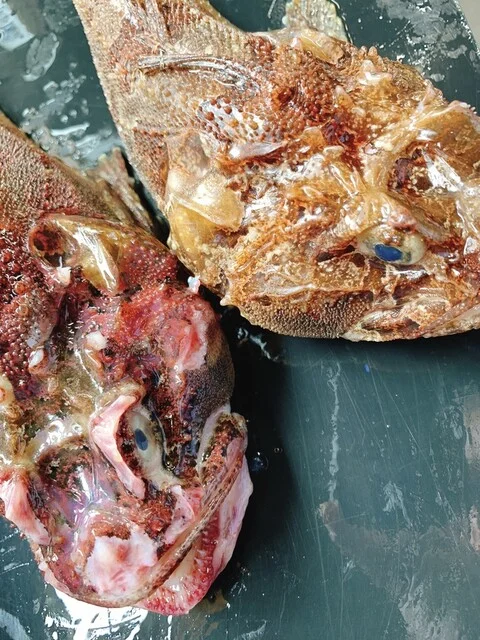 和の膳 みや川 - 釜石（日本料理）の写真