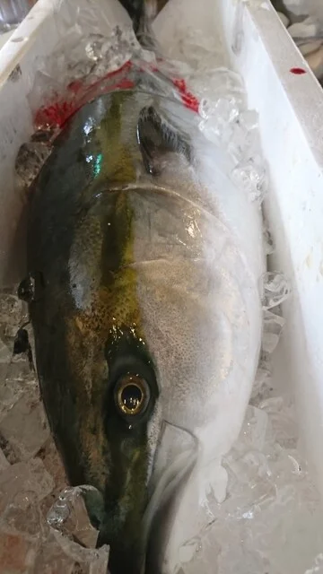 串物 海鮮焼 居酒屋 結 - 雫石（居酒屋）の写真