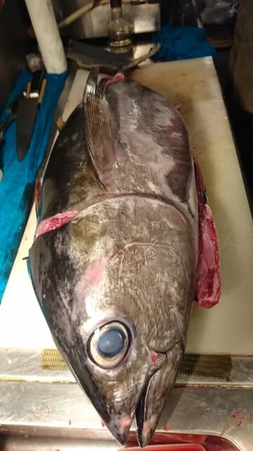 串物 海鮮焼 居酒屋 結 - 雫石（居酒屋）の写真