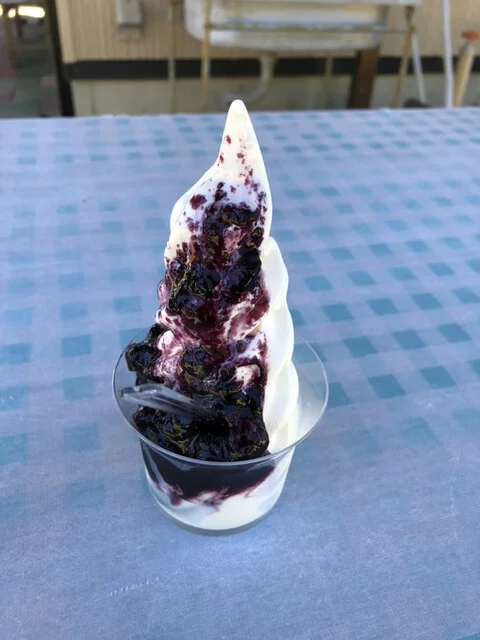 東光園（トウコウエン） - 羽後岩谷（スイーツ）の写真