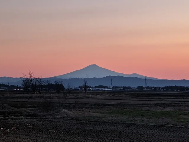 ル カフェ プランタニエ（Le cafe Printanier） - 十文字（フレンチ）の写真
