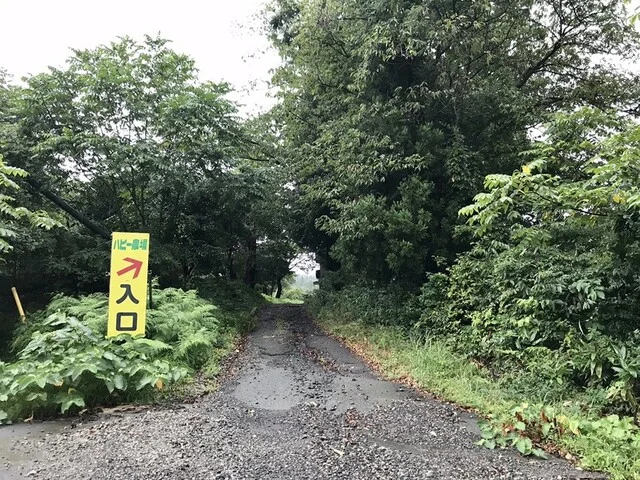 きっかわ（ハピー農場） - 峰吉川（肉料理）の写真