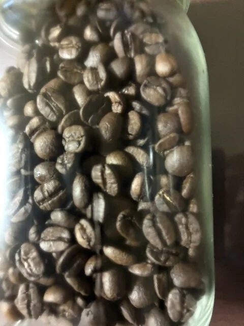 ジジコーヒー（JIJI COFFEE） - 向能代（カフェ）の写真