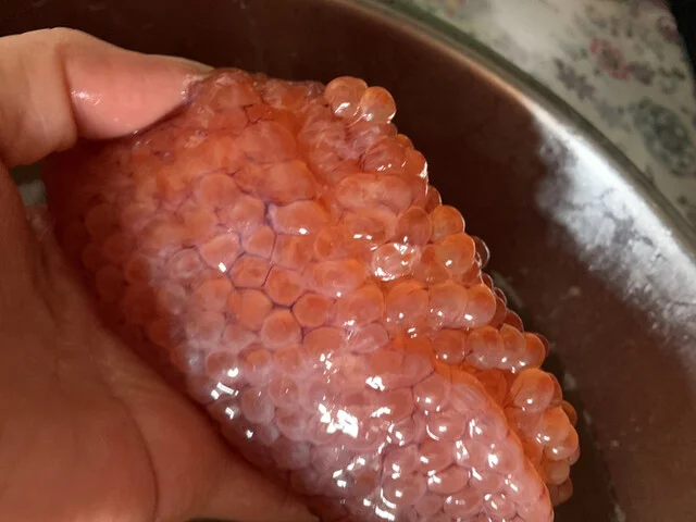 東鮮魚店 - 釜石（その他）の写真