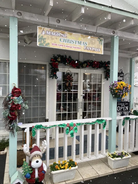 リトルコテージ ガーデンカフェ（little cottage garden cafe） - 米沢（カフェ）の写真