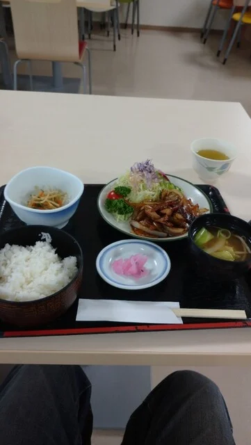 御食事処 健やか - 秋田（食堂）の写真