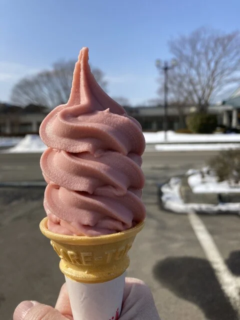 レストラン・フレボラント - 船越（食堂）の写真