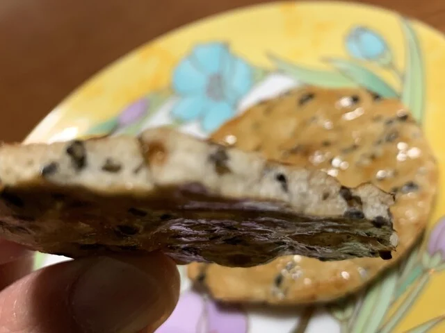 モミの木 - 東金井（その他）の写真