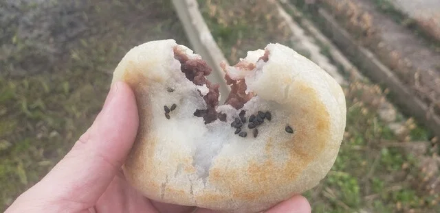 三浦菓子店  - 羽後町その他（たい焼き・大判焼き）の写真