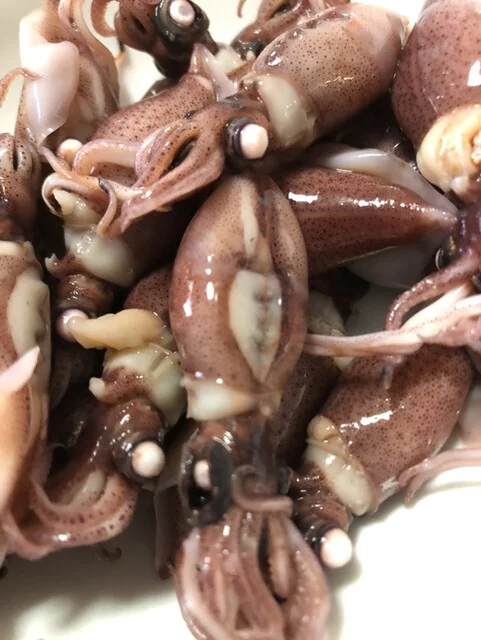 たかむら商店 - 好摩（ホルモン）の写真